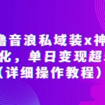 （6186期）抖音撸音浪私域装x神器二次转化，单日变现超500（详细操作教程）