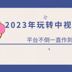 （6179期）2023一心0基础玩转中视频项目：平台不倒，一直做到老