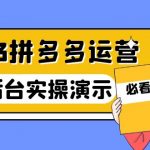 （6152期）2023拼多多·运营：14节干货实战课，拒绝-口嗨，全后台实操演示