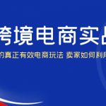 （6101期）AI·跨境电商实操营：0-1精通Al的真正有效电商玩法 卖家如何利用Al快速超车