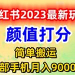 （6087期）最新小红书颜值打分玩法，日入300+闭环玩法