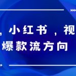 （6085期）抖音，小红书，视频号爆款流视频制作，简单制作掌握流量密码