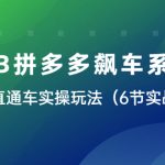 （6030期）2023拼多多飙车系列课，多多直通车实操玩法（6节实战课）