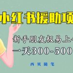 （6026期）一天300-500！新手朋友极易上手的《小红书援助项目》，绝对值得大家一试