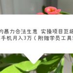 （5962期）男人的暴力合法生意实操项目巨细版：仅一部手机月入3w（附赠学员工具箱）