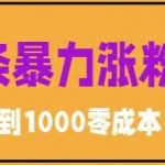 （5950期）微头条暴力涨粉技巧搬运文案就能涨几万粉丝，简单0成本，日赚600