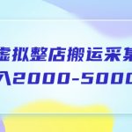 （5931期）淘宝虚拟整店搬运采集玩法分享课：月入2000-5000元（5节课）