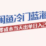 （5903期）2023最新闲鱼冷门蓝海玩法，小白零成本当天出单日入200+