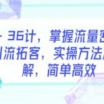 （5899期）引流·36计，掌握流量密码，快速引流拓客，实操方法层层拆解，简单高效