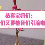 （5891期）恭喜宝妈们：你们又要被我们引流了（教程+222g资料）