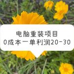 （5882期）电脑系统重装项目，0成本一单利润20-30