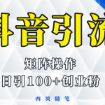 （5871期）抖音引流术，矩阵操作，一天能引100多创业粉