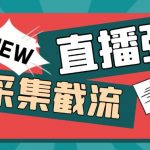 （5865期）引流必备-外面卖198斗音直播间弹幕监控脚本 精准采集快速截流【脚本+教程】