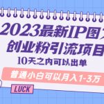 （5862期）2023最新IP图文创业粉引流项目，10天之内可以出单 普通小白可以月入1-3万