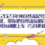 （5808期）2023年纯自然流起号课程，带你把自然流玩明白，可以闭眼上车（5月更新）