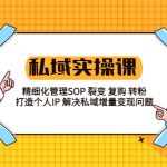 （5805期）私域实战课程：精细化管理SOP 裂变 复购 转粉 打造个人IP 私域增量变现问题