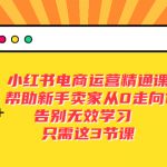 （5764期）小红书电商·运营精通课，帮助新手卖家从0走向1 告别无效学习（7节视频课）