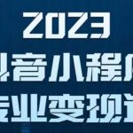 （5752期）抖音小程序变现保姆级教程：0粉丝新号 无需实名 3天起号 第1条视频就有收入