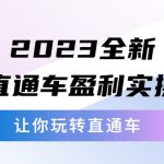 （5714期）2023全新直通车·盈利实操：从底层，策略到搭建，让你玩转直通车