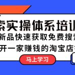 （5658期）搜索实操体系培训班：淘系新品快速获取免费搜索流量  开一家赚钱的淘宝店铺