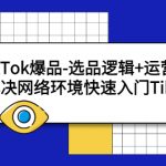 （5657期）TikTok爆品-选品逻辑+运营思路：解决网络环境快速入门TikTok