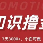 （5629期）抖音知识撸金项目：简单粗暴日入1000+执行力强当天见收益(教程+资料)