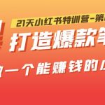 （5598期）21天小红书特训营-第6期，打造爆款笔记，带你做一个能赚钱的小红书！