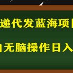 （5573期）2023最新蓝海快递代发项目，小白零成本照抄也能日入300+（附开户渠道）