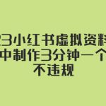 （5571期）2023小红书虚拟资料玩法，手机中制作3分钟一个笔记不违规