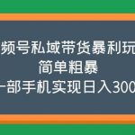 （5544期）视频号私域带货暴利玩法，简单粗暴，一部手机实现日入300+