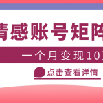 （5536期）云天情感账号矩阵项目，简单操作，月入10万+可放大（教程+素材）