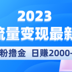 （5428期）2023美女流量变现最新玩法，0粉撸金，日赚2000+，实测日引流300+