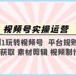 （5425期）视频号实操运营，0到1玩转视频号  平台规则  流量获取 素材剪辑 视频制作等