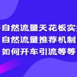 （5327期）拼多多自然流量天花板实操玩法：自然流量推荐机制，如何开车引流等等