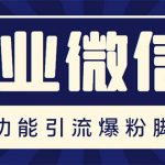 （5322期）企业微信多功能营销高级版，批量操作群发，让运营更高效【软件+操作教程】