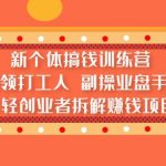 （5308期）新个体搞钱训练营：带领打工人 副操业盘手 年轻创业者拆解赚钱项目