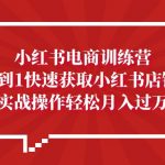 （5309期）小红书电商训练营，小白0到1快速获取小红书店铺流量，实战操作月入过万