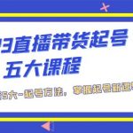 （5268期）2023直播带货起号五大课程，掌握带货5大-起号方法，掌握起新号逻辑