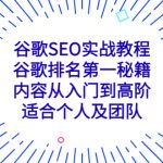 （5261期）谷歌SEO实战教程：谷歌排名第一秘籍，内容从入门到高阶，适合个人及团队