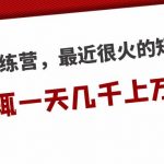 （5250期）短剧训练营，最近很火的短剧教程，动辄一天几千上万的收入