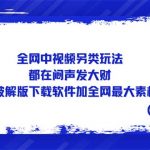 （5242期）全网中视频另类玩法，都在闷声发大财，附带破解版下载软件加全网最大素材库