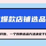 （5240期）淘宝爆款店铺选品实操，2023从选品开始，一个好的选品方法决定于你是否盈利