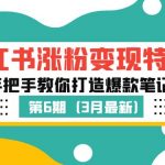 （5231期）小红书涨粉变现特训·第6期，手把手教你打造爆款笔记（3月新课）