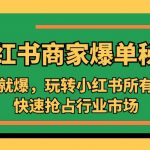 （5220期）小红书·商家爆单秘籍：一写就爆，玩转小红书所有规则，快速抢占行业市场