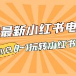 （5219期）2023最新小红书·电商课，新手小白从0~1玩转小红书书店电商