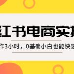 （5190期）小红书·电商实操课：每天操作3小时，0基础小白也能快速做出爆款！