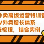 （5182期）2023外卖高级运营特训营：3V外卖-增长体系，系统-梳理，结合-实例