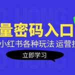 （5179期）小红书流量密码入口揭秘：带你玩转小红书各种玩法 运营技巧+优化！