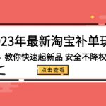 （5174期）2023年最新淘宝补单玩法，教你快速起·新品，安全·不降权（18课时）