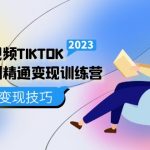 （5141期）跨境·短视频TIKTOK零基础到精通变现训练营 短视频·独立站·带货变现技巧